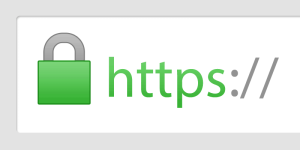 Example of an HTTPS page